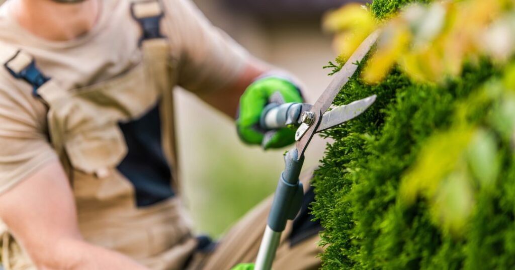poda e plantio em Niterói